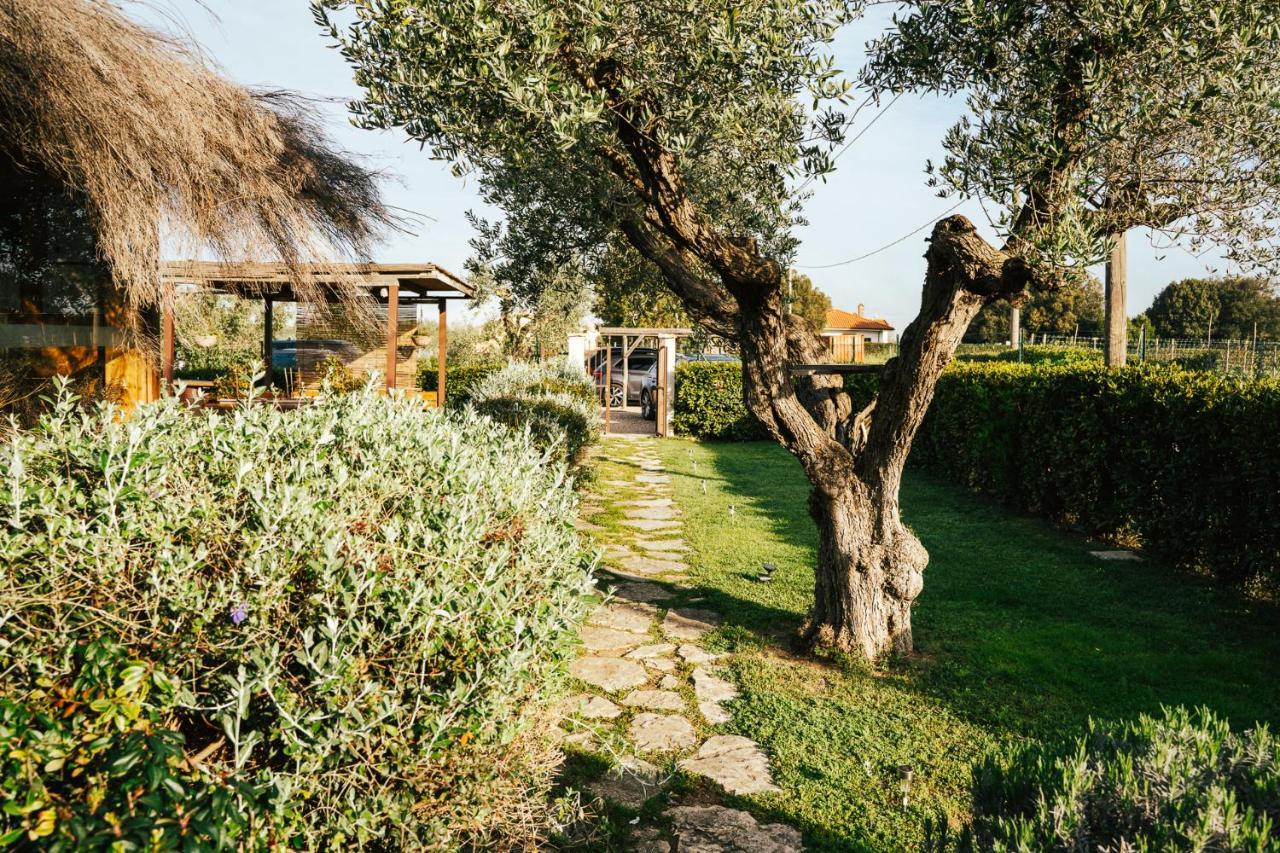 Agriturismo Sweet Cottage 마리나디그로세토 외부 사진
