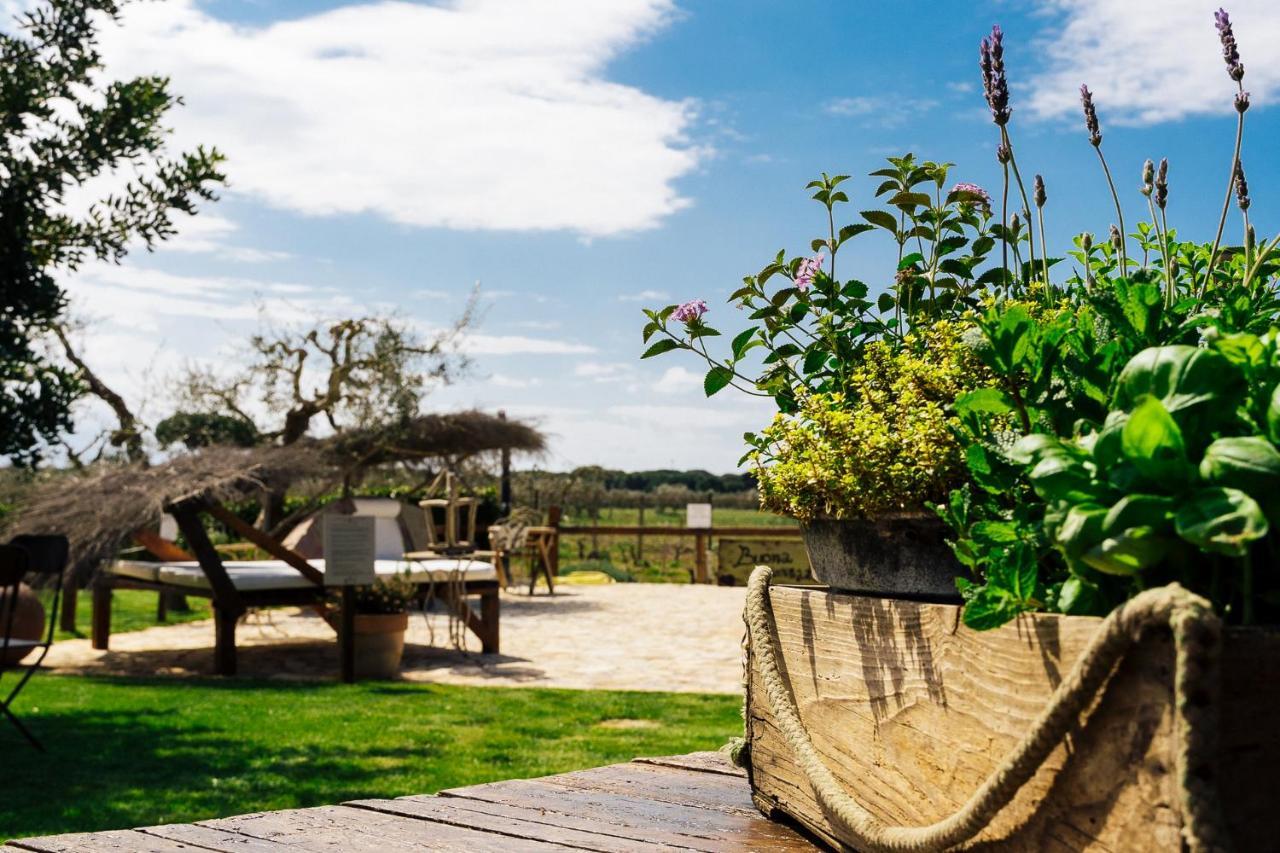 Agriturismo Sweet Cottage 마리나디그로세토 외부 사진
