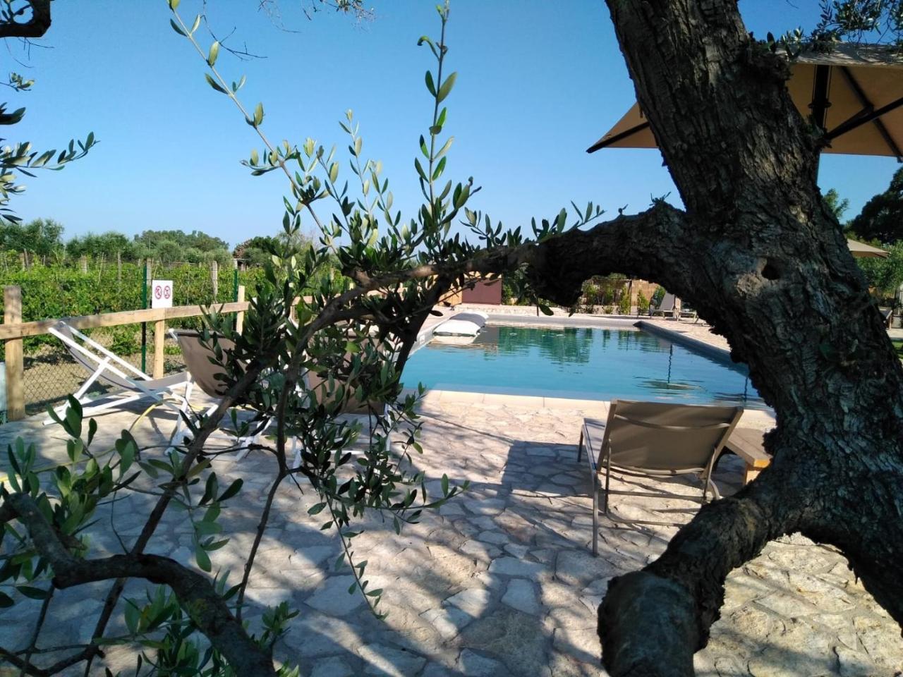 Agriturismo Sweet Cottage 마리나디그로세토 외부 사진